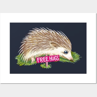 Free Hugs from Porcupine Posters and Art